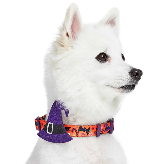 Blueberry Pet - Halloween Witch Collar