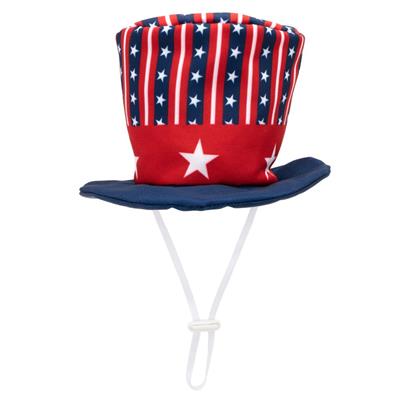 Worthy Dog- Uncle Sam Party Hat
