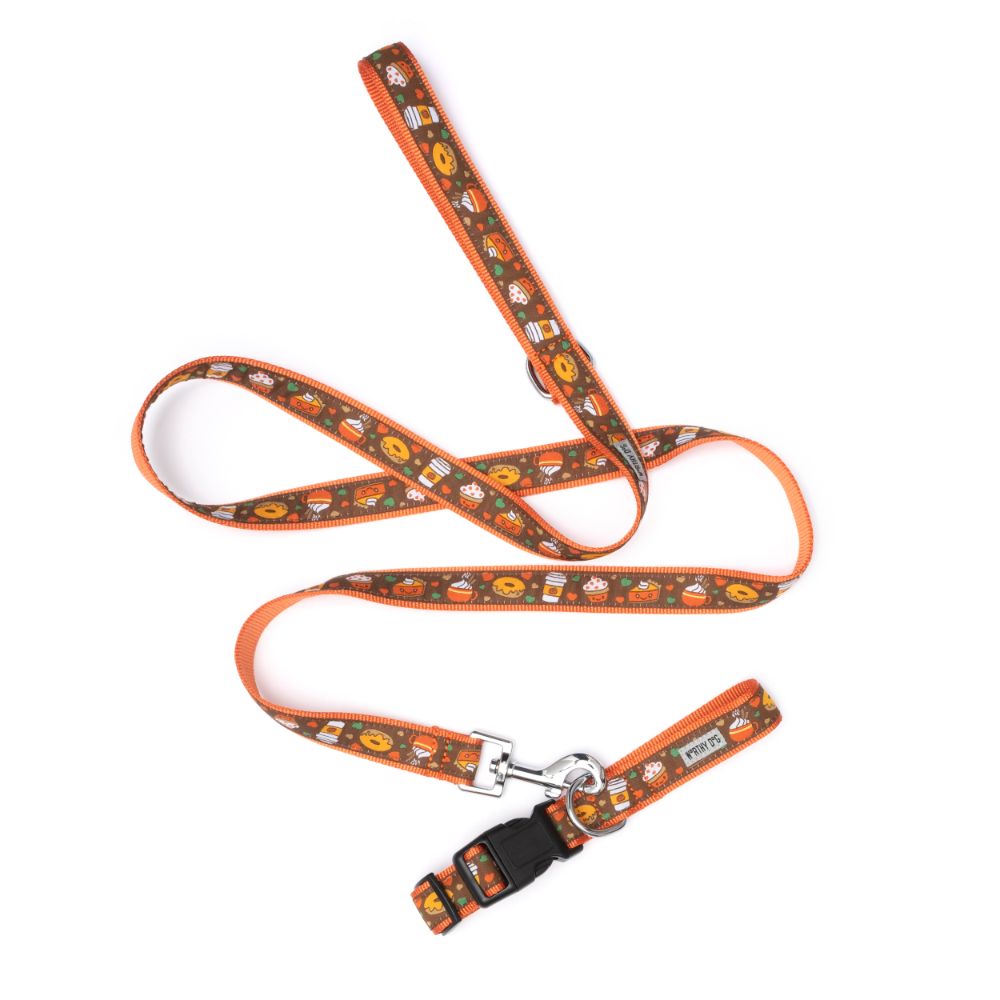 Pumpkin Spice dog collar and leash set