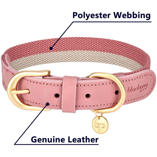 Blueberry Pet - Full Grain Leather & Polyester Dog Collar