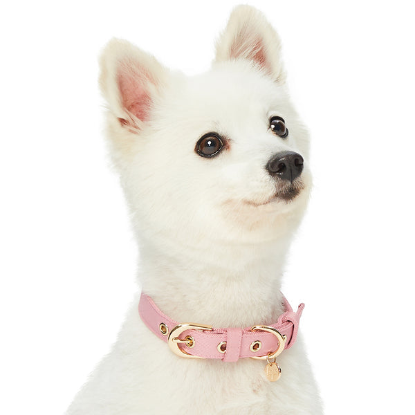 Blueberry Pet - Most Coveted Dog Collar with Bowtie and Pearl