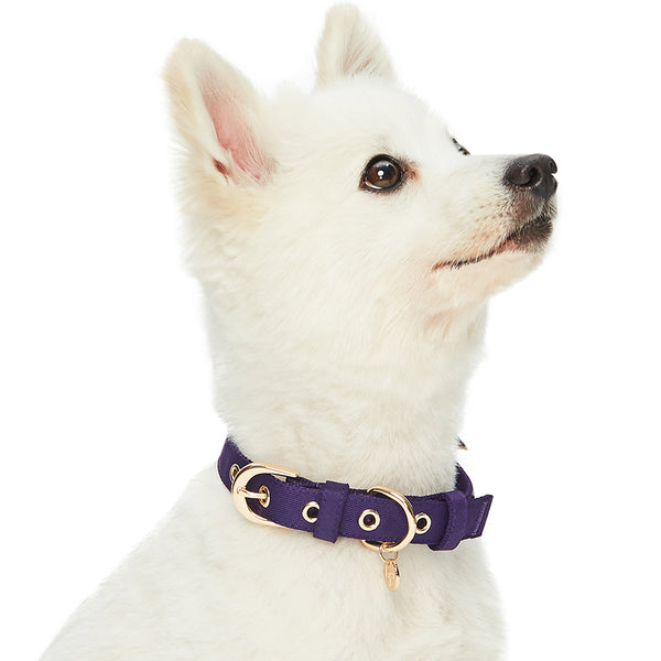 Blueberry Pet - Most Coveted Dog Collar with Bowtie and Pearl