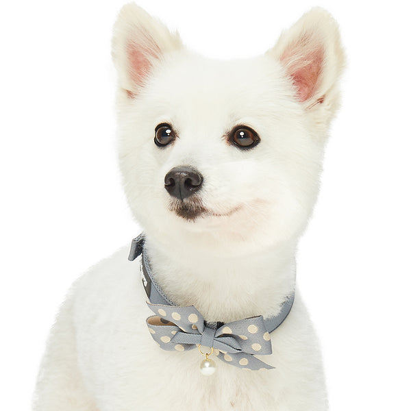 Blueberry Pet - The Most Coveted Dog Collar with Dotty Bowtie and Pearl