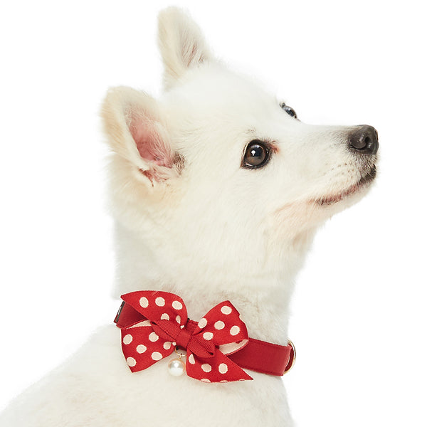 Blueberry Pet - The Most Coveted Dog Collar with Dotty Bowtie and Pearl