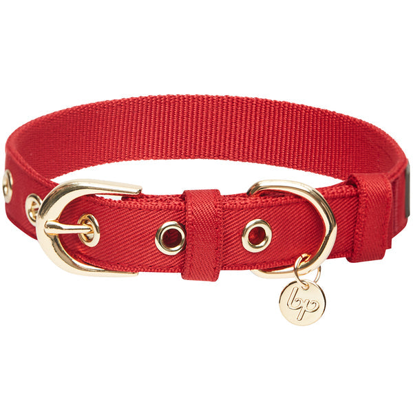 Blueberry Pet - The Most Coveted Dog Collar with Dotty Bowtie and Pearl