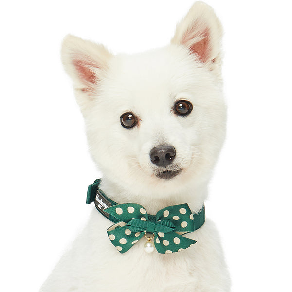 Blueberry Pet - The Most Coveted Dog Collar with Dotty Bowtie and Pearl