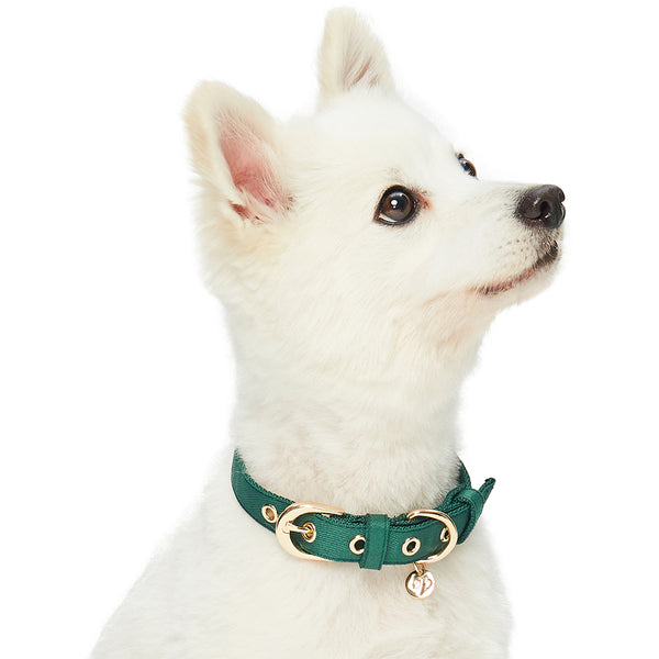 Blueberry Pet - The Most Coveted Dog Collar with Dotty Bowtie and Pearl