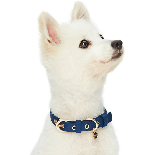 Blueberry Pet - The Most Coveted Dog Collar with Dotty Bowtie and Pearl