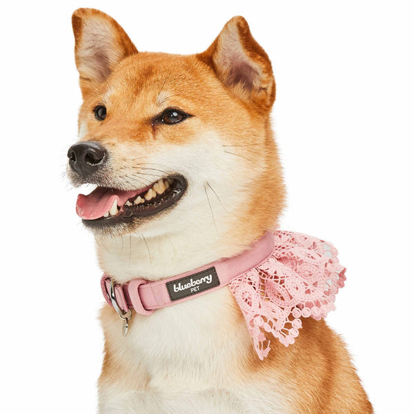 Blueberry Pet - Floral Lace Dog Collar