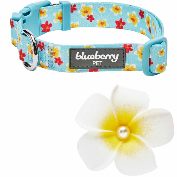 Blueberry Pet - Tropical Flower Dog Collar