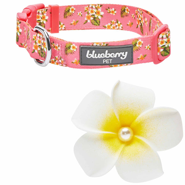 Blueberry Pet - Tropical Flower Dog Collar