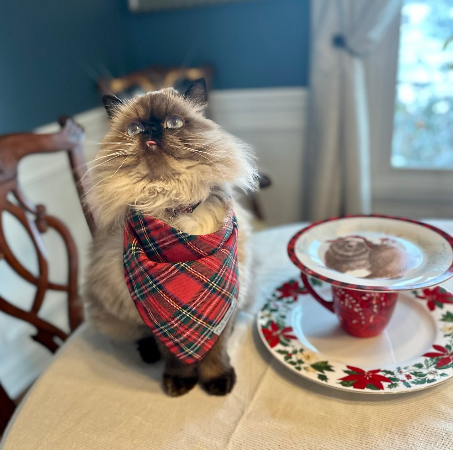 Red, green and white plaid pet bandana