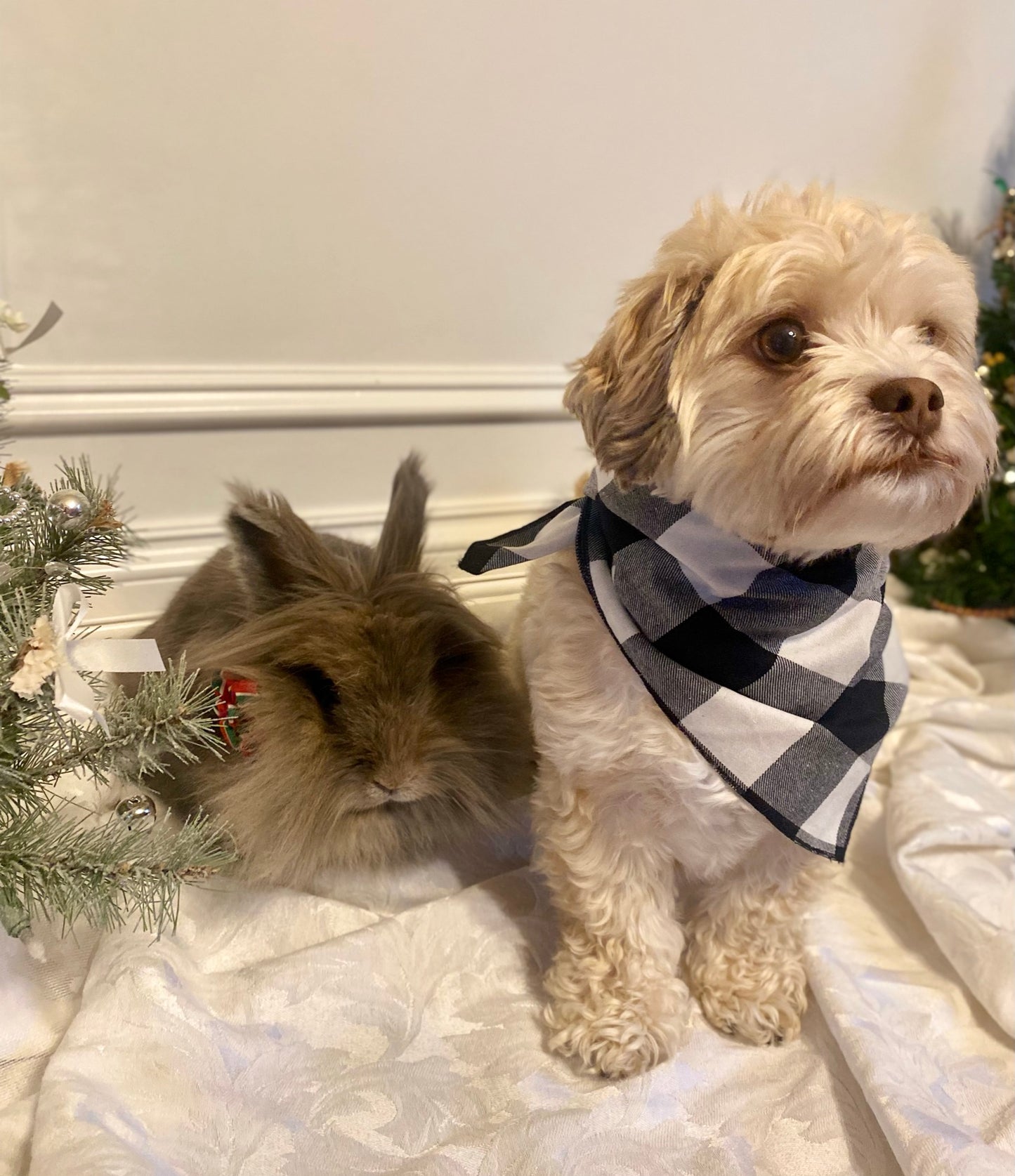 Black and off-white buffalo check bandana