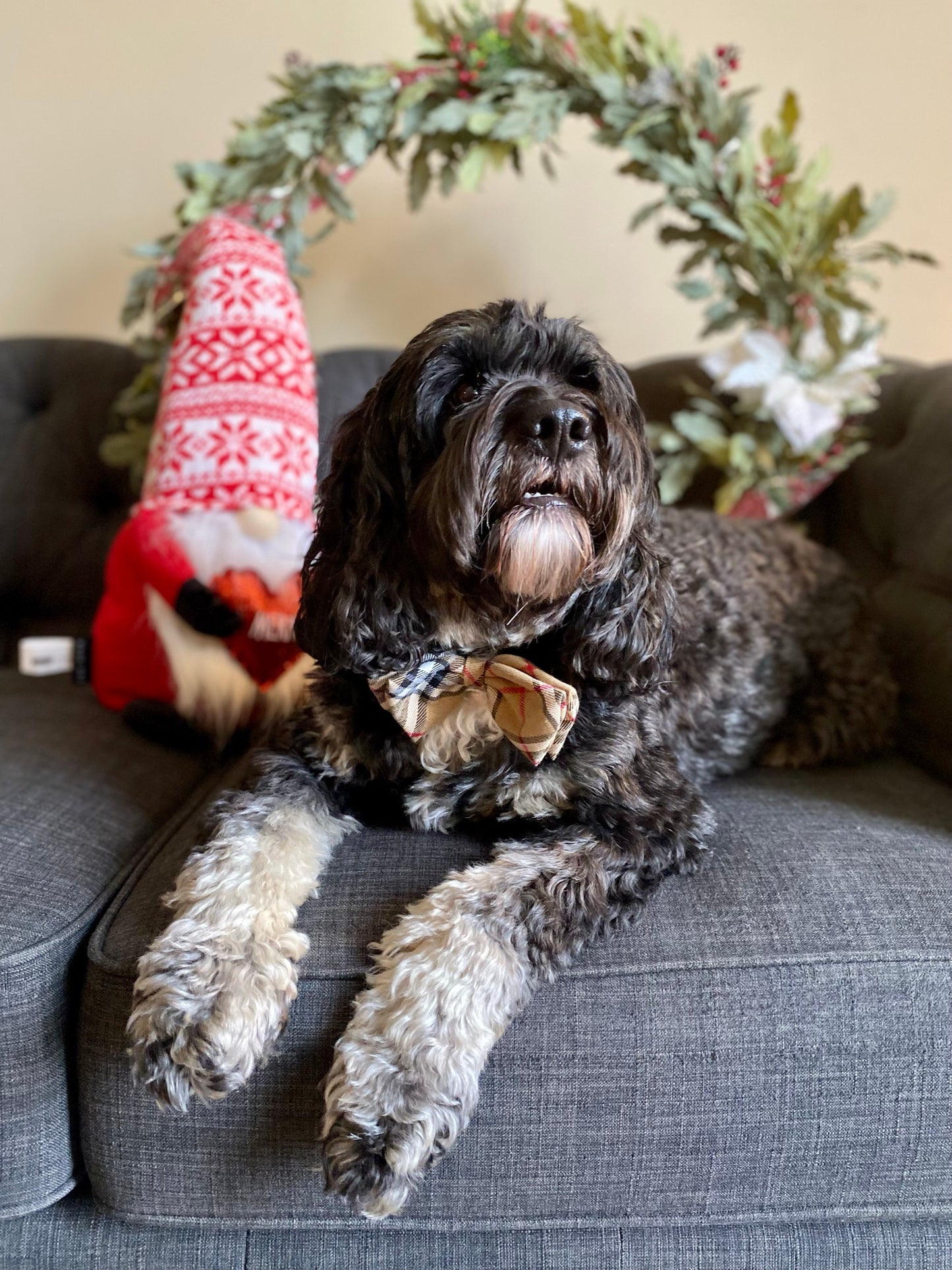 Tan Plaid Pet Bow tie