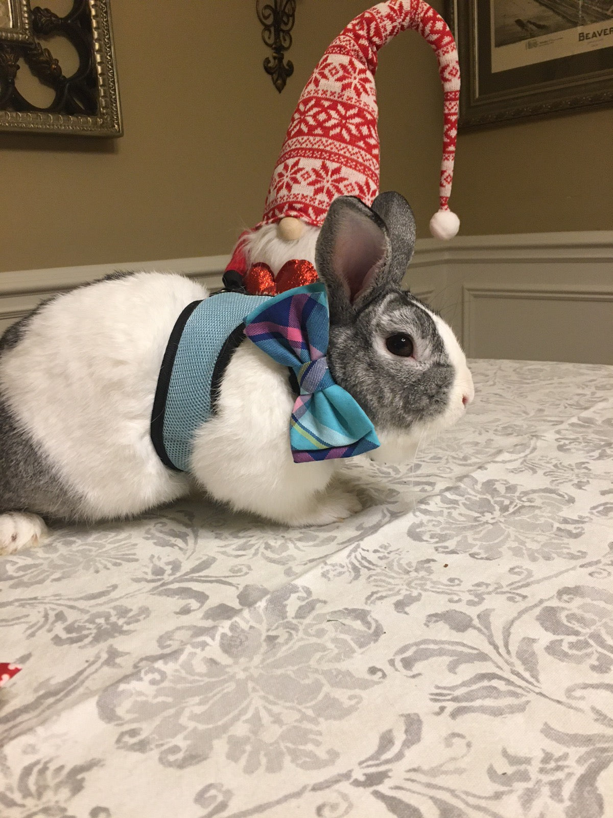 Blue and purple plaid pet bow tie