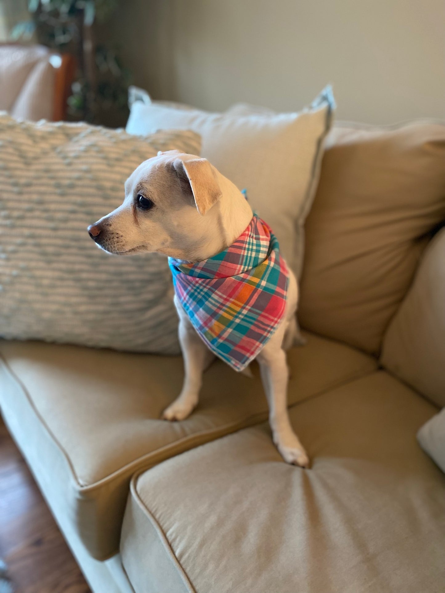 Blue, pink and yellow plaid pet bandana