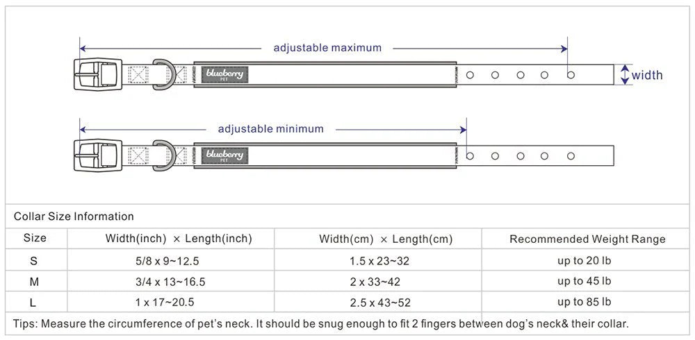 Blueberry Pet - Flower Power Canvas Dog Collar