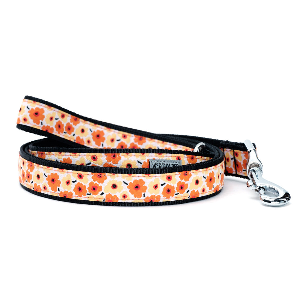Dog collar and leash set - Orange Floral