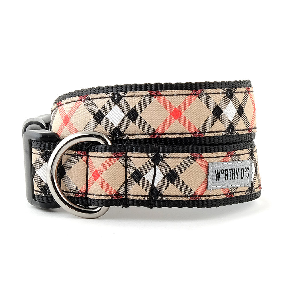 Dog collar and Harness