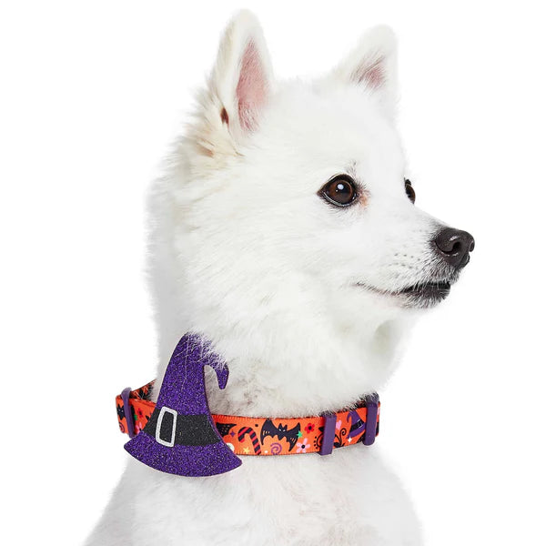 Blueberry Pet - Halloween Witch Collar