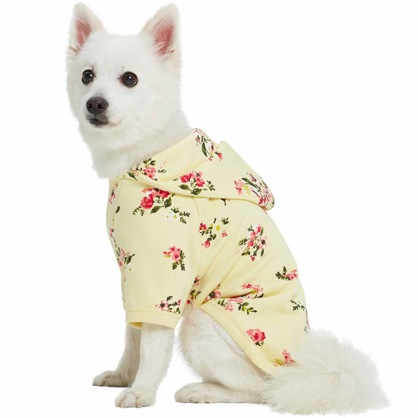 Blueberry Pet - Spring Scent Inspired Flower Dog Sweatshirt