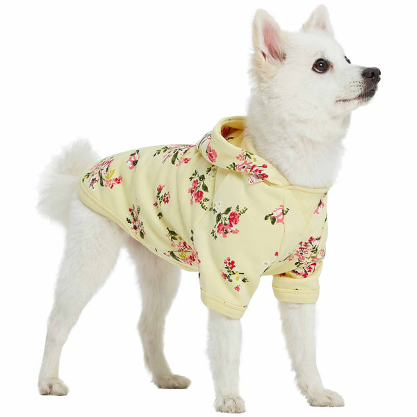 Blueberry Pet - Spring Scent Inspired Flower Dog Sweatshirt