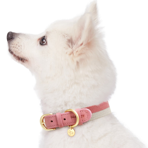 Blueberry Pet - Full Grain Leather & Polyester Dog Collar