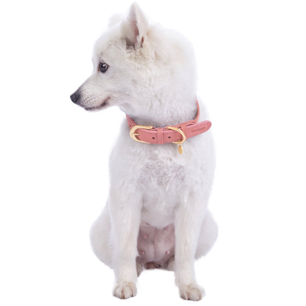 Blueberry Pet - Full Grain Leather & Polyester Dog Collar