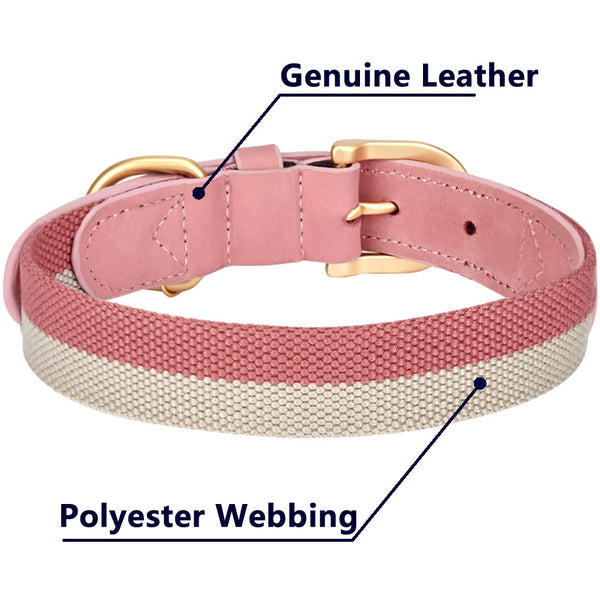 Blueberry Pet - Full Grain Leather & Polyester Dog Collar