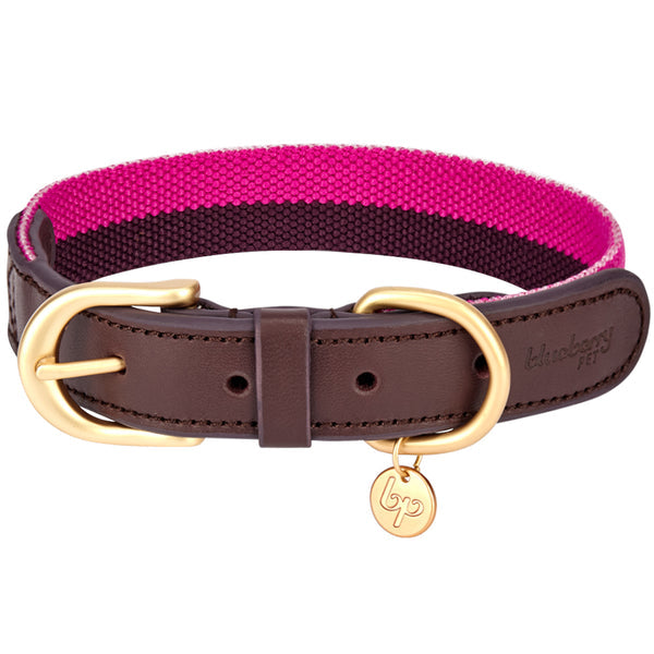 Blueberry Pet - Full Grain Leather & Polyester Dog Collar