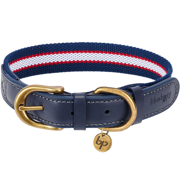 Blueberry Pet - Full Grain Leather & Polyester Dog Collar