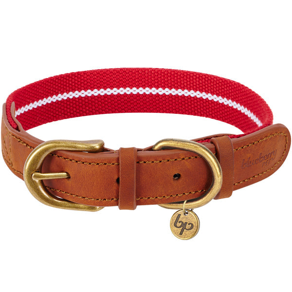 Blueberry Pet - Full Grain Leather & Polyester Dog Collar