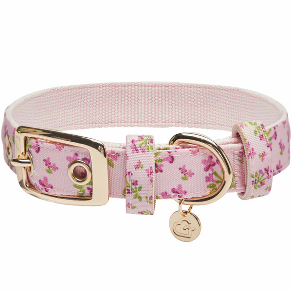 Blueberry Pet - Flower Power Canvas Dog Collar