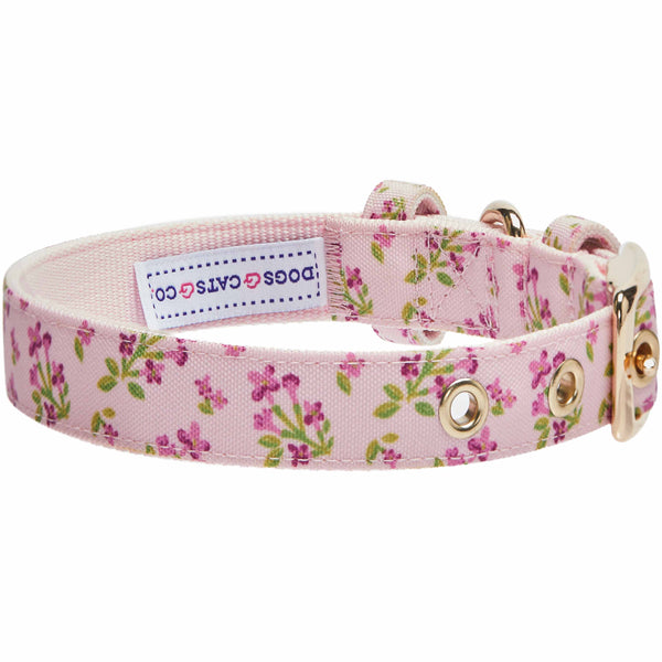 Blueberry Pet - Flower Power Canvas Dog Collar