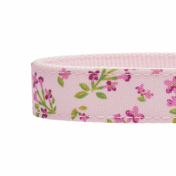 Blueberry Pet - Flower Power Canvas Dog Collar