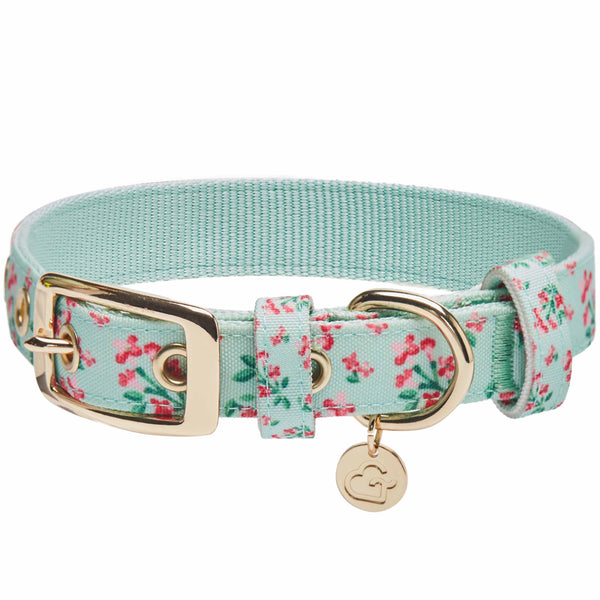 Blueberry Pet - Flower Power Canvas Dog Collar