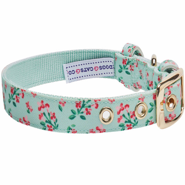 Blueberry Pet - Flower Power Canvas Dog Collar
