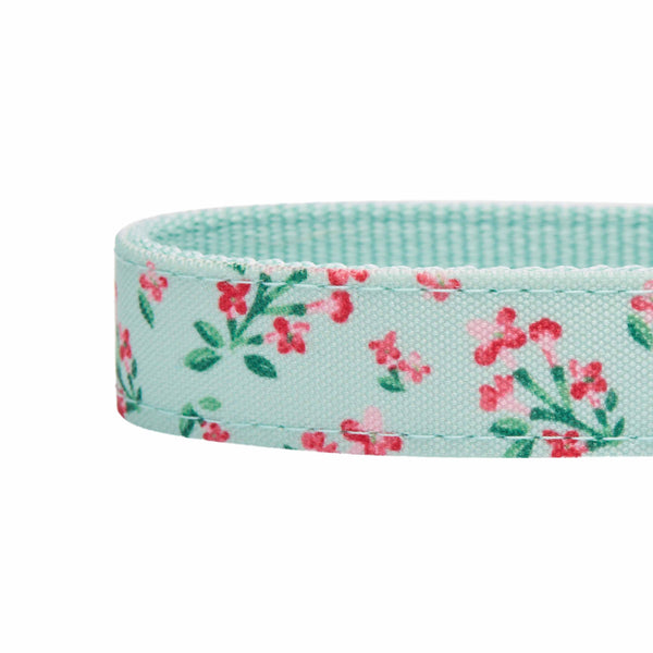 Blueberry Pet - Flower Power Canvas Dog Collar