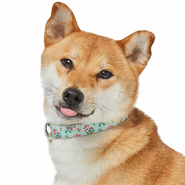 Blueberry Pet - Flower Power Canvas Dog Collar