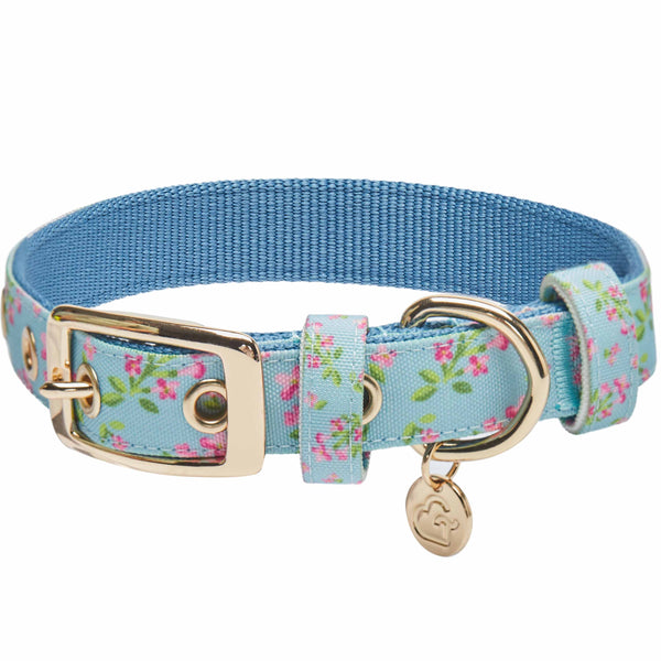 Blueberry Pet - Flower Power Canvas Dog Collar