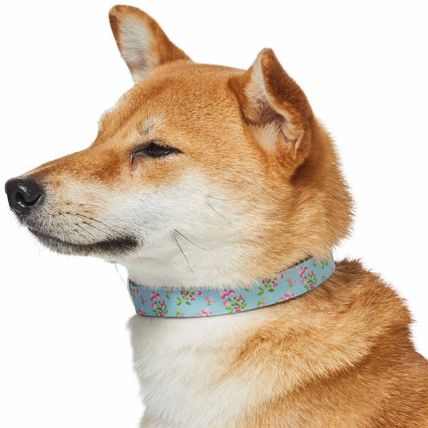 Blueberry Pet - Flower Power Canvas Dog Collar