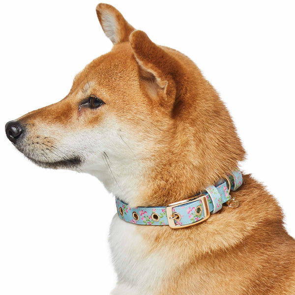 Blueberry Pet - Flower Power Canvas Dog Collar