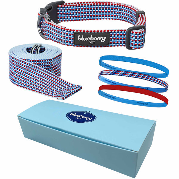 Blueberry Pet - Multicolor Braids Doga Gift Box - 1 Dog Collar/1 Yoga Stretch Strap/3 Headbands