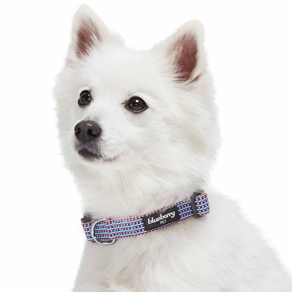 Blueberry Pet - Multicolor Braids Doga Gift Box - 1 Dog Collar/1 Yoga Stretch Strap/3 Headbands
