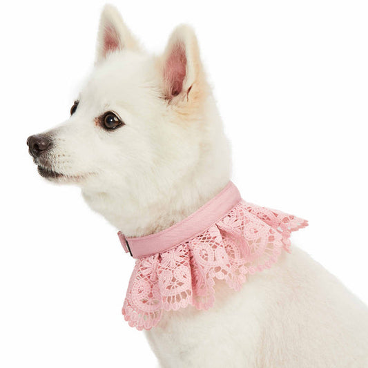 Blueberry Pet - Floral Lace Dog Collar