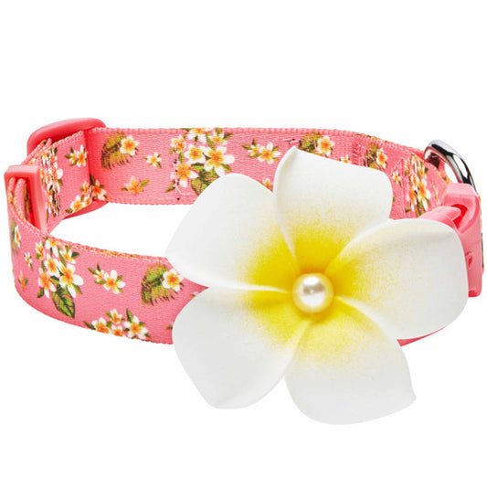 Blueberry Pet - Tropical Flower Dog Collar