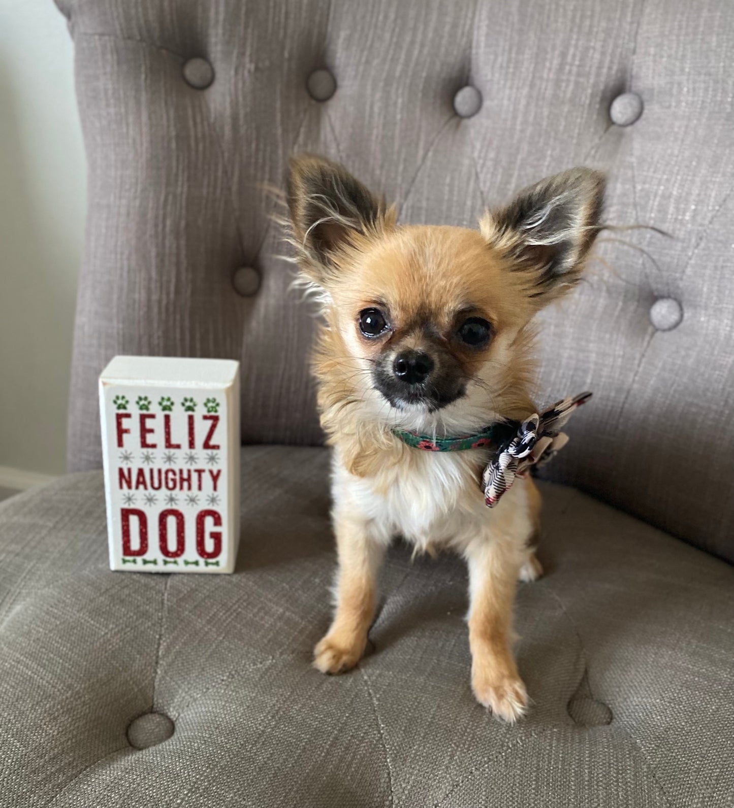 Box Sign- Feliz Naughty Dog