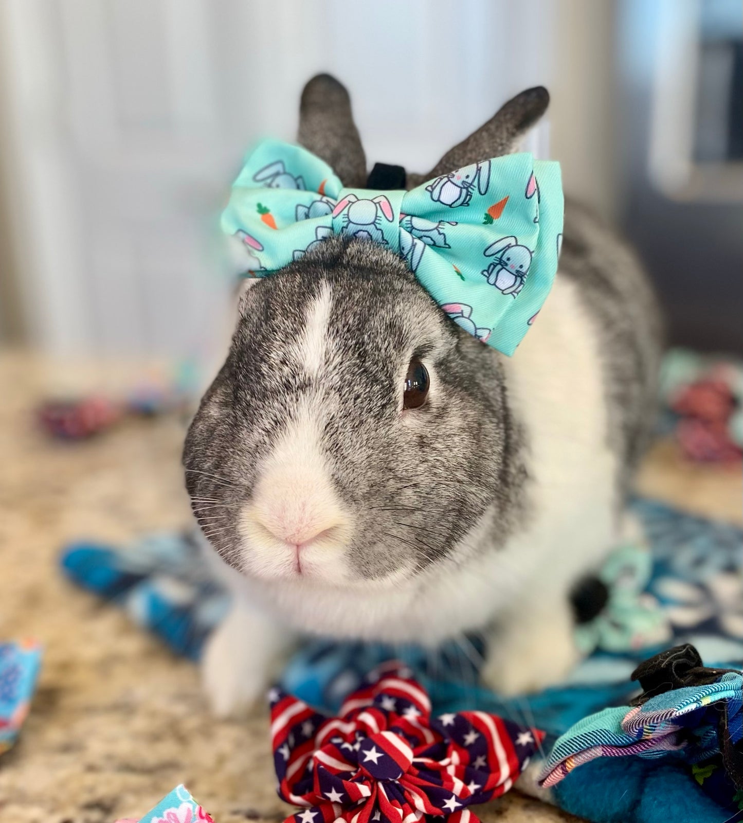 Rabbit pet Bow tie
