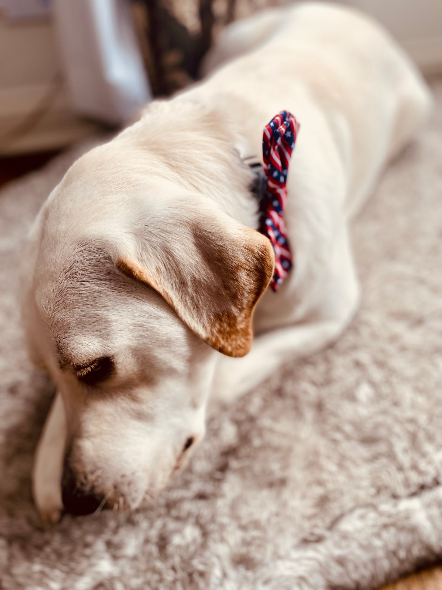 Worthy Dog - American Flag Pet Bow Tie