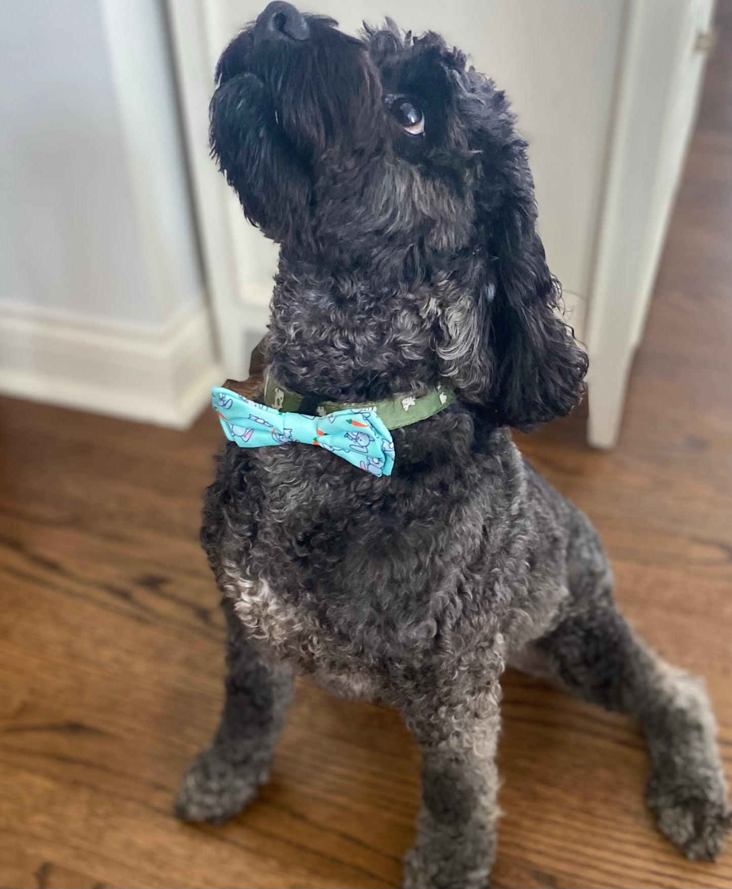 Rabbit pet Bow tie
